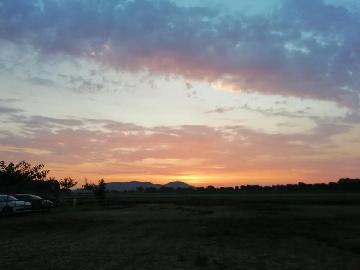 וילה Fonalleras Apartament Rural La Figuera