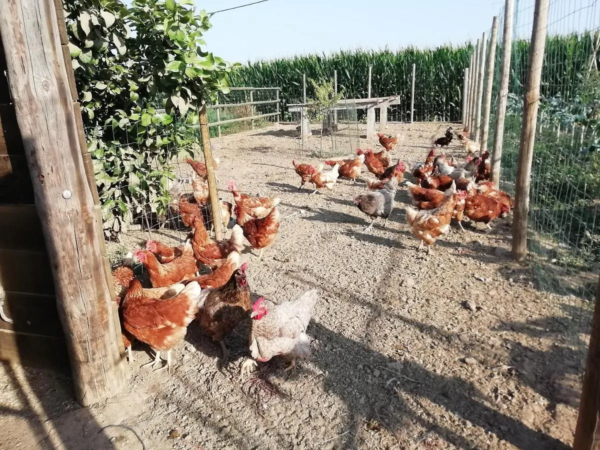 Fonalleras Apartament Rural La Figuera ספרד