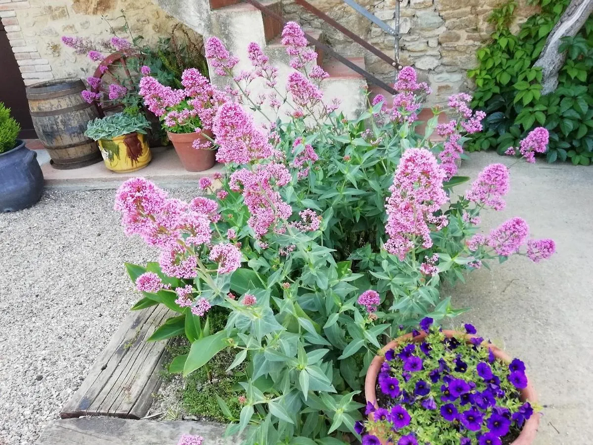 Villa Apartament Rural La Figuera